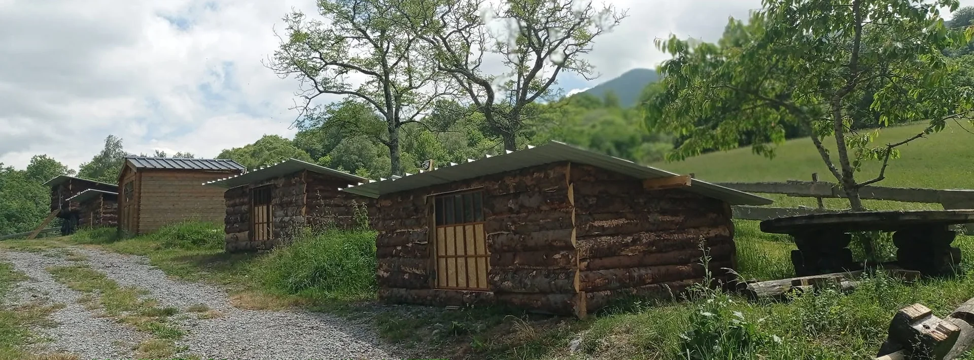 Les chalets posés sous les arbres