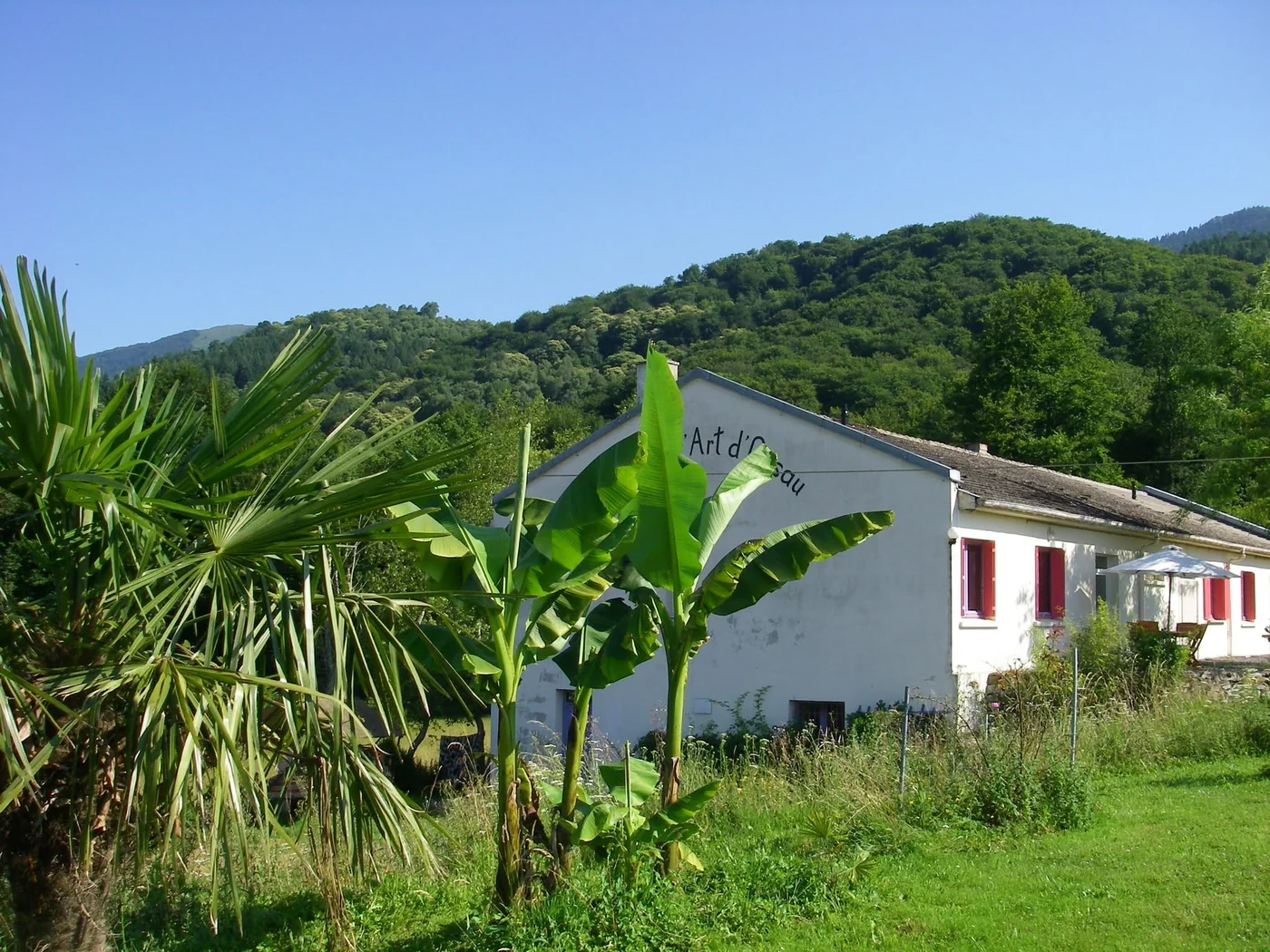 Le bâtiment blanc du gîte, son pignon peint et ses palmiers