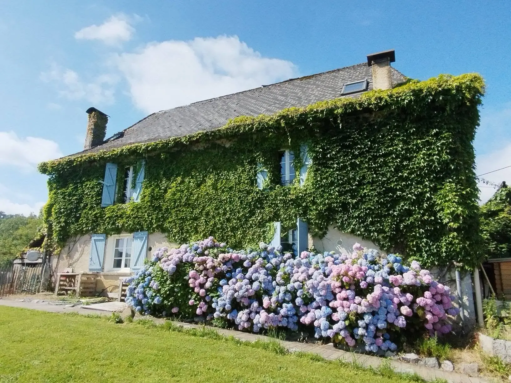 Maison béarnaise couverte de lierre et massif d'hortensias à Passiflorart